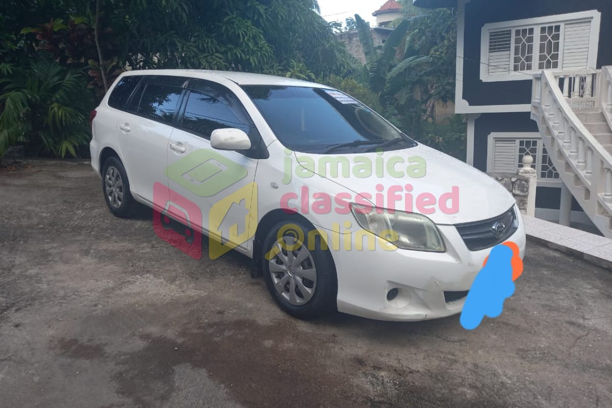 For Sale: 2010 Toyota Fielder
