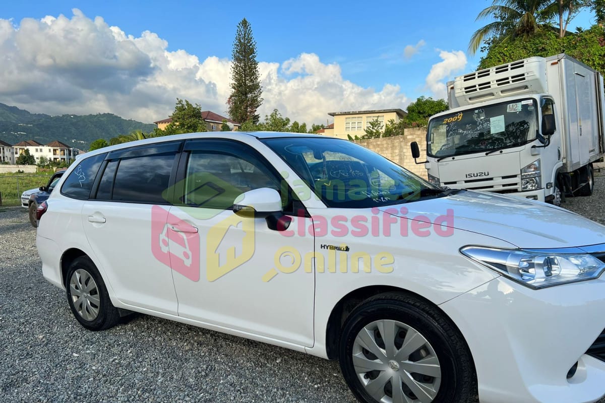 For Sale: 2017 TOYOTA FIELDER