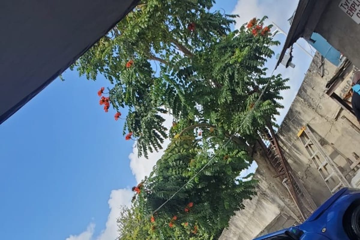 Suzuki Grand Vitara 2,0L 2008