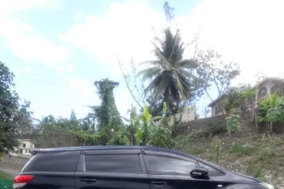 Vernbrain Toyota wish