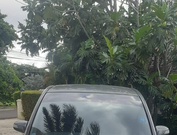 For Sale: 2009 Honda Stepwagon Spada