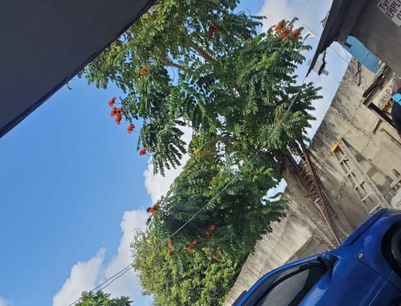 Suzuki Grand Vitara 2,0L 2008