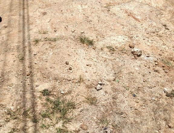 Volkswagen Polo 1,6L 2018