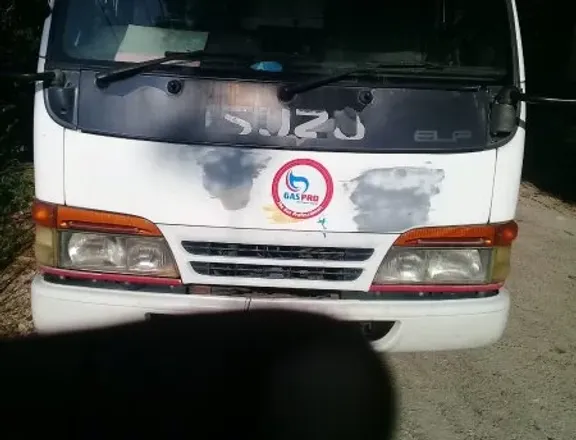 Isuzu Elf 1996